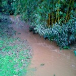 A River Runs Through It