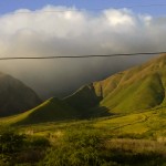 West Maui greenery