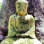 Mossy Guy