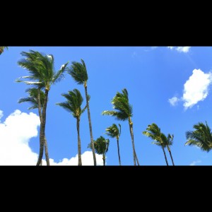 Hump Day Sun Day