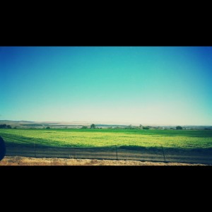 Shotgun View
