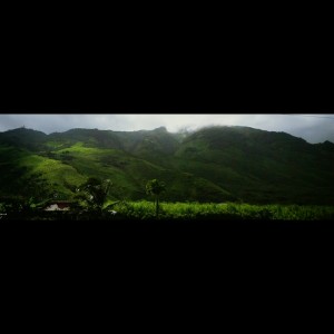 Beautiful Maui