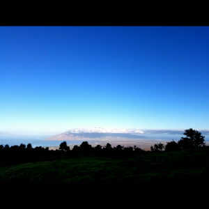Maui No Kai Oi