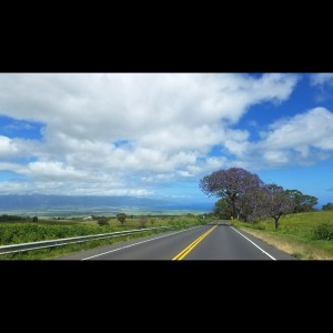 Beautiful!