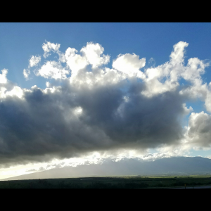 Sun Shadow