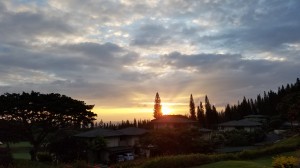Kapalua Sunset