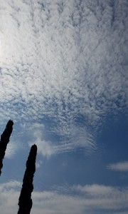 Clouds Illusions
