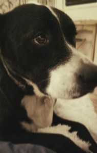 Sweetest Girl