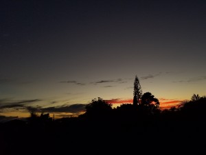 Moody Sunset