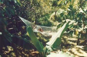 Haiku Hammock Hangin'